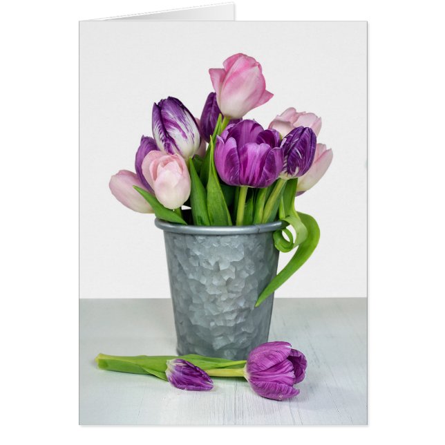pelote de tulipe rose et violet (Devant)