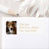 Pembroke Corgi Hond Retouradres Label (Insitu)