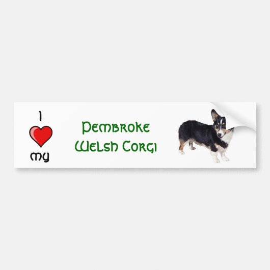 Pembroke Welsh Corge Bumpersticker (Voorkant)