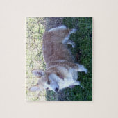 Pembroke Welsh Corgi 110 pc. Puzzle & Storage Tin Legpuzzel (Verticaal)