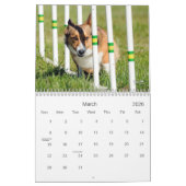 Pembroke Welsh Corgi Agility Calendar Kalender (Mar 2026)