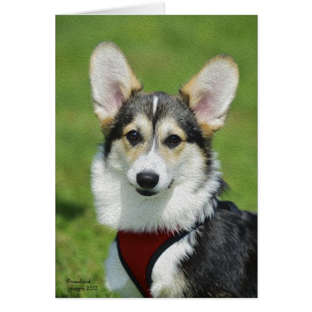 Pembroke Welsh Corgi Card (Voorkant)