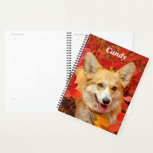 Pembroke Welsh Corgi Chien chiot en Feuille rouge (Devant avec enveloppe)