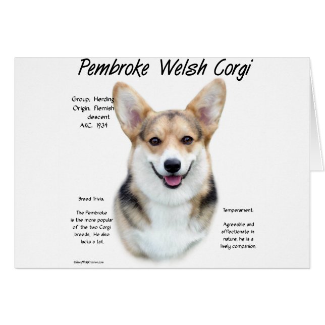 Pembroke Welsh Corgi Conception de l'histoire (Devant horizontal)