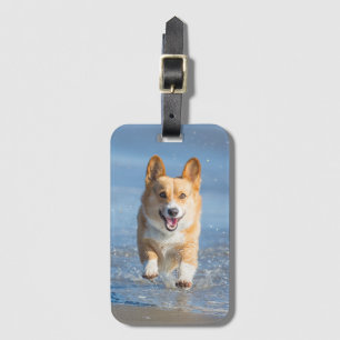 Pembroke Welsh Corgi Dog aan het strand Bagagelabel