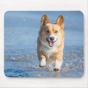 Pembroke Welsh Corgi Dog aan het strand Muismat