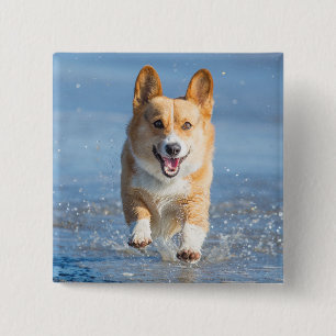 Pembroke Welsh Corgi Dog aan het strand Vierkante Button 5,1 Cm