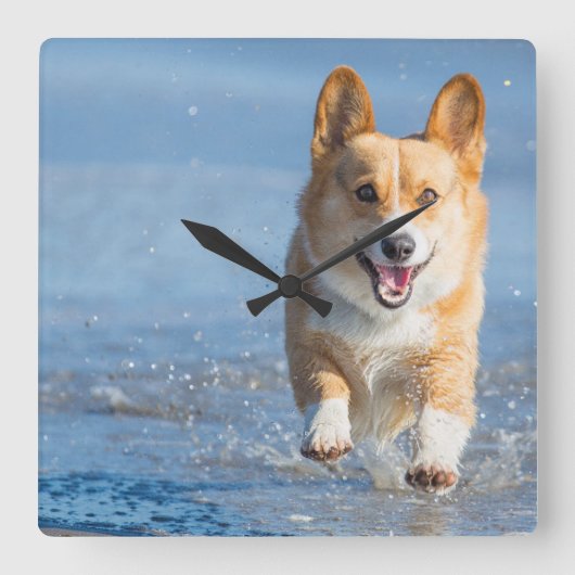 Pembroke Welsh Corgi Dog aan het strand Vierkante Klok (Voorkant)