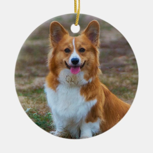 Pembroke Welsh corgi Dog Keramisch Ornament (Voorkant)