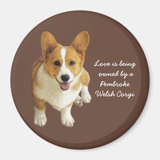 Pembroke Welsh Corgi Happy Magnet Magneet (Voorkant)