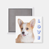 Pembroke Welsh Corgi Love Refrigerator Magnet (Recto/Verso)