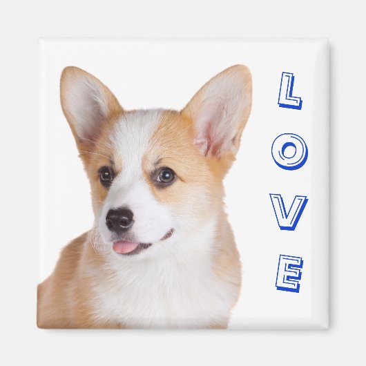Pembroke Welsh Corgi Love Refrigerator Magnet (Devant)