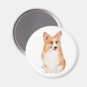 Pembroke Welsh Corgi Magnet #2 (Recto/Verso)