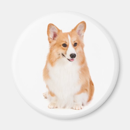 Pembroke Welsh Corgi Magnet #2 (Devant)