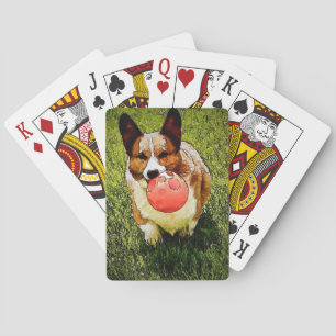 Pembroke Welsh Corgi Pokerkaarten