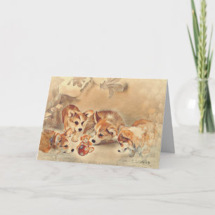 Pembroke Welsh Corgi Puppies Kaart