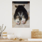 Pembroke Welsh Corgi Puppy 2 Poster (Keuken)