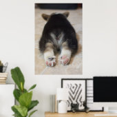 Pembroke Welsh Corgi Puppy 2 Poster (Thuiskantoor)