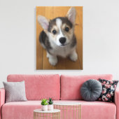 Pembroke Welsh Corgi Puppy 3 Canvas Afdruk (Insitu (Woonkamer))