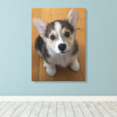 Pembroke Welsh Corgi Puppy 3 Canvas Afdruk (Insitu (Houten vloer))