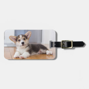Pembroke Welsh Corgi Puppy Bagagelabel