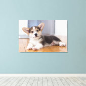 Pembroke Welsh Corgi Puppy Canvas Afdruk (Insitu (Houten vloer))