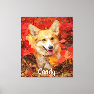 Pembroke Welsh Corgi Puppy Dog in Red Leaves Canvas Afdruk