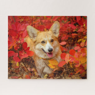 Pembroke Welsh Corgi Puppy Dog in Red Leaves Legpuzzel
