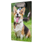 Pembroke Welsh Corgi Puppy Dog Klembord (Links)