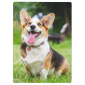 Pembroke Welsh Corgi Puppy Dog Klembord (Achterkant)