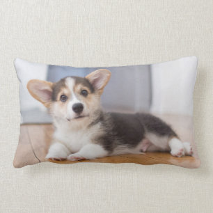 Pembroke Welsh Corgi Puppy Kussen