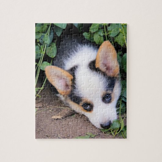 Pembroke Welsh Corgi Puppy Legpuzzel (Verticaal)