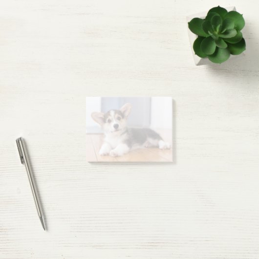 Pembroke Welsh Corgi Puppy Post-it® Notes (Kantoor)