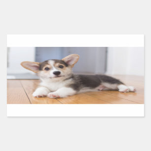 Pembroke Welsh Corgi Puppy Rechthoekige Sticker