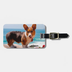 Pembroke Welsh Corgi puppy staand op tafel Bagagelabel