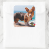 Pembroke Welsh Corgi puppy standing on table Vierkante Sticker (Tas)