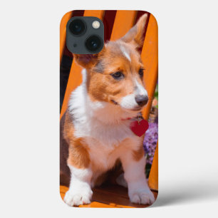 Pembroke Welsh Corgi puppy zittend op parkbank iPhone 13 Hoesje