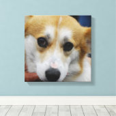 Pembroke Welsh Corgi toile d'impression (Insitu (Plancher de Bois))