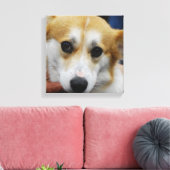 Pembroke Welsh Corgi toile d'impression (Insitu(Salon))