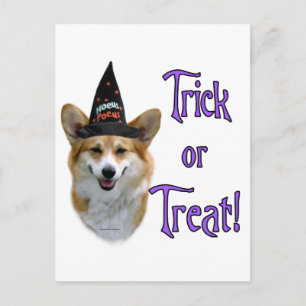 Pembroke Welsh Corgi Trick Briefkaart