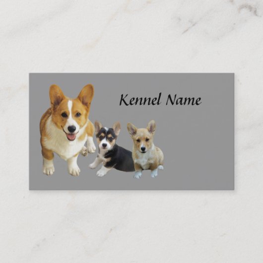 Pembroke Welsh Corgi Trio Visitekaartje (Voorkant)