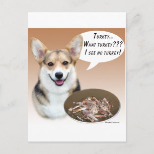 Pembroke Welsh Corgi Turkije Briefkaart