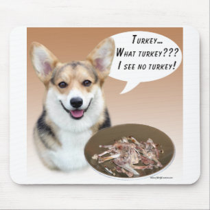 Pembroke Welsh Corgi Turkije Muismat