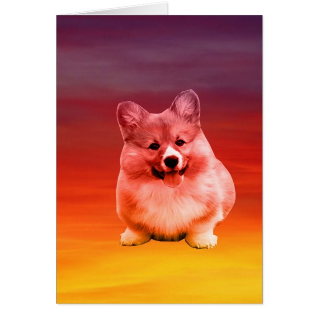 Pembroke Welsh Corgi zittend op het strand (Voorkant)