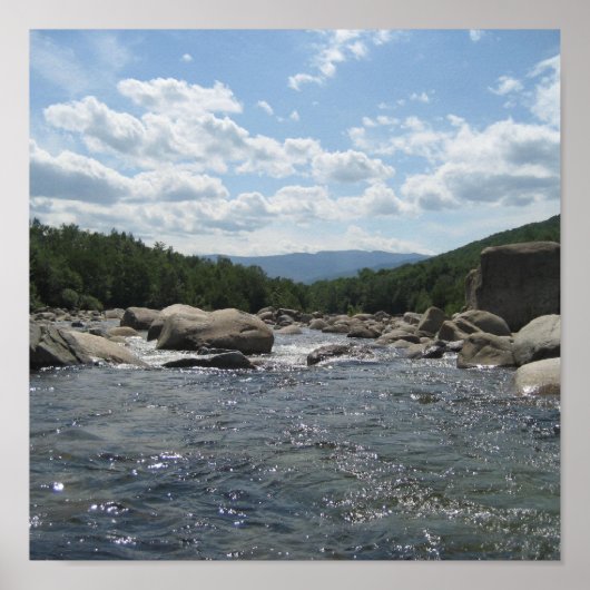 Pemi Poster (Voorkant)