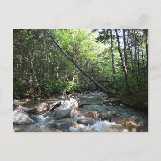 Pemigewasset River Bridge in New Hampshire Briefkaart (Voorkant)