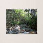 Pemigewasset River Bridge in New Hampshire Legpuzzel (Horizontaal)