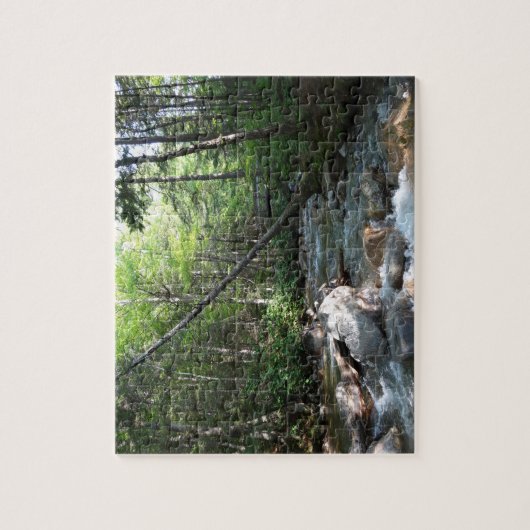 Pemigewasset River Bridge in New Hampshire Legpuzzel (Verticaal)