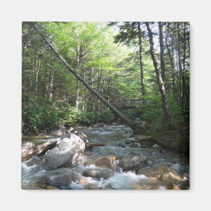 Pemigewasset River Bridge in New Hampshire Magneet