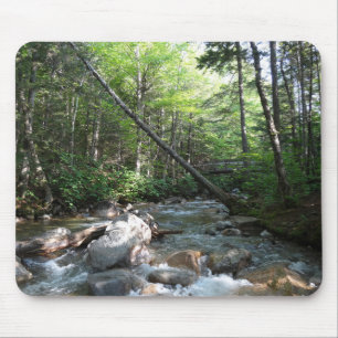 Pemigewasset rivierbrug in New Hampshire Muismat
